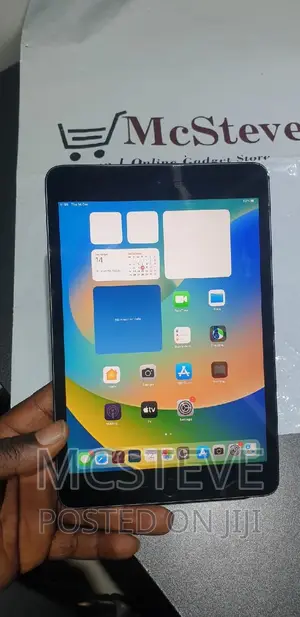 Apple iPad mini 5 256 GB Gray