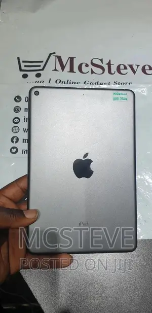 Apple iPad mini 5 256 GB Gray