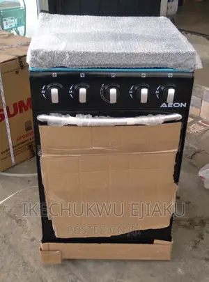 Aeon Standing Aii Gas Cooker