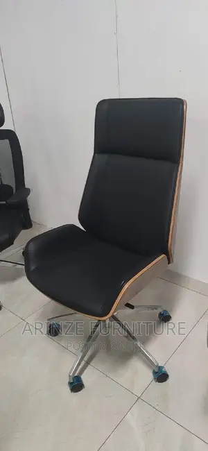 Executive Fashion Chair