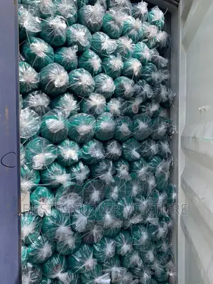 Scaffolding Net