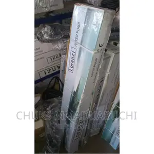 2hp Lorenzi Submersible Pump