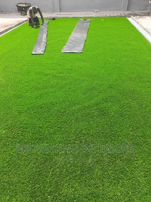 Artificial or Synthetic Grass