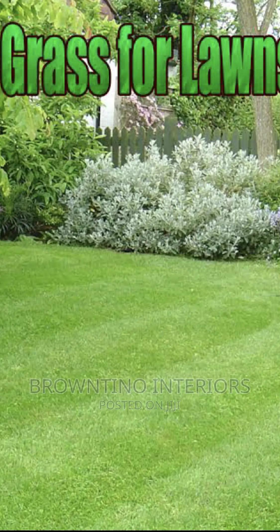 Artificial Grass
