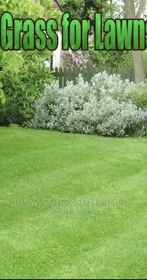 Artificial Grass