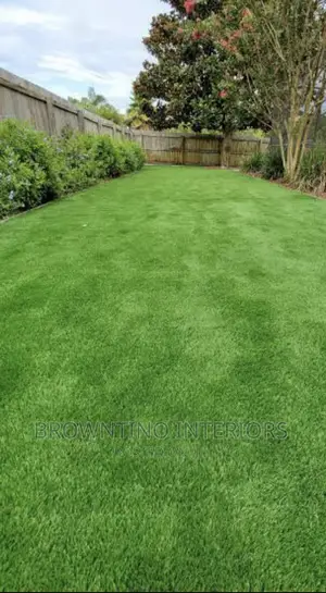 Artificial or Synthetic Grass