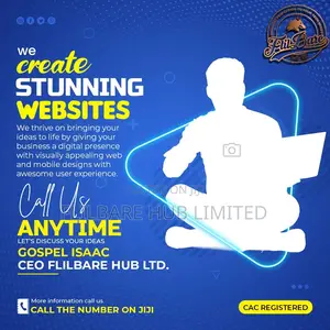Software Developer