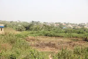 Own An Amazing Land Today