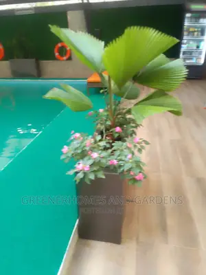 Beautification of Swimming Pool