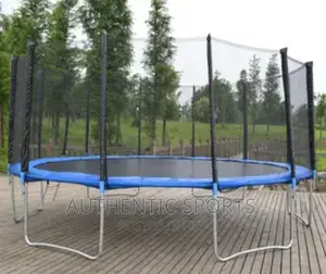 16feet Trampoline With Ladder And Enclosure