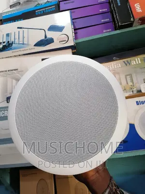 Baddest Inceiling Speaker With Deep Bass Production