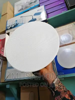 Full Range Inceiling Speaker With Low, Mid High Frequency