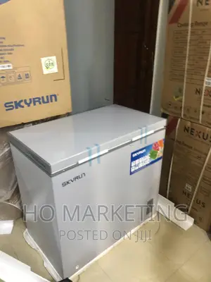 Fast Freeze Skyrun Freezer With Key Lock Bd-200a