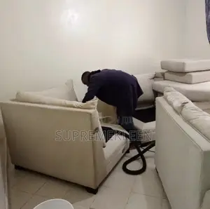 Satisfied Cleaning and Pest Control Service
