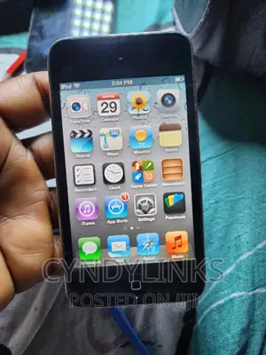 Clean iPod Touch 4th Generation