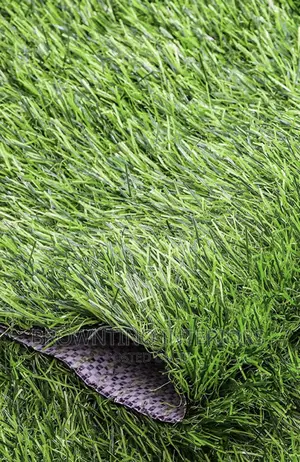 Artificial or Synthetic Grass