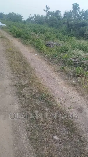 18acres of Farmland at Osuntedo