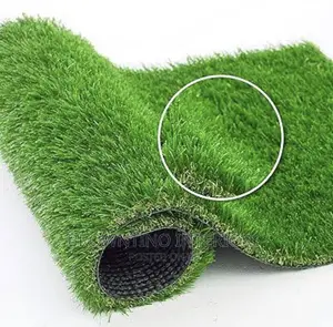 Artificial or Synthetic Grass