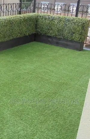 Artificial or Synthetic Grass