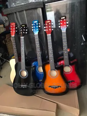 38 Inches Box Guiter