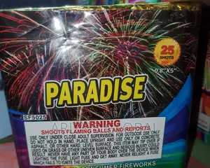 Fireworks 25 Shots