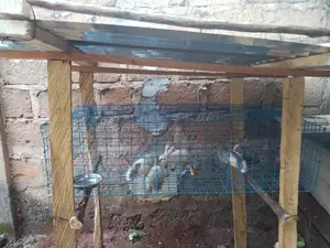 Mobile Cage for Rabbit and Cat