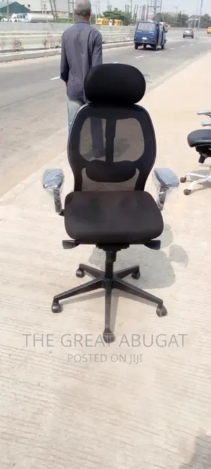 Exercise Office Chair