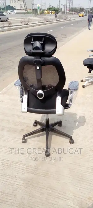 Exercise Office Chair