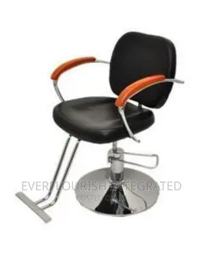 Salon Barbers Chair