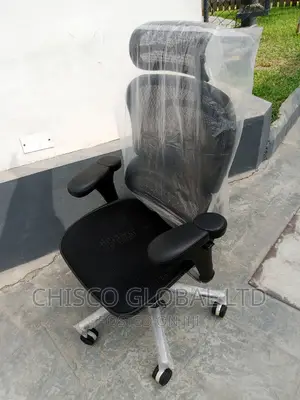 Office Chair {Orthopedic}