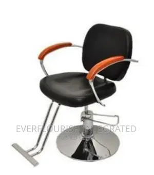 Reclining Barbers Salon Chair