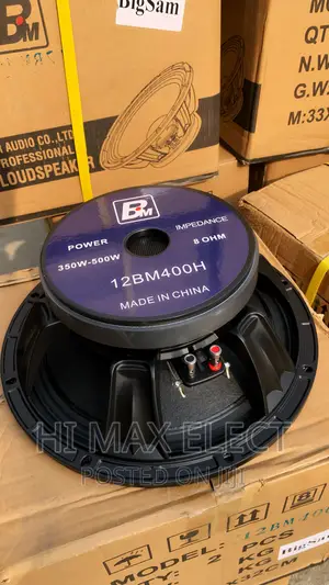 Bm 12inch Speaker