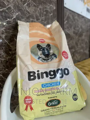 Bingo Dry Food