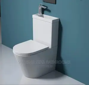 Executive 2-in-1 Toilet Set With Basin