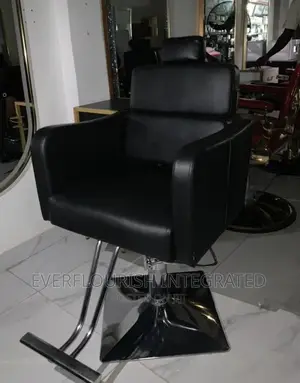 Barbing Salon Adjustable Chair