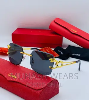Luxury Cartier Glasses