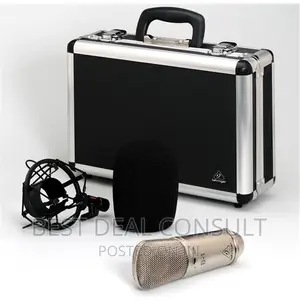 Behringer B2 Pro Studio Microphone