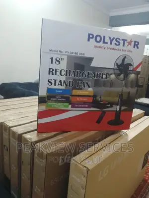 Durable Polystar 18""Rechargeable Stand Fan