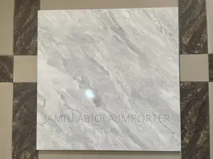 600*600 Royal Castle Quality Tiles