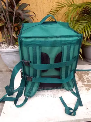 Insulated Delivery Bag