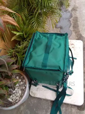 Insulated Delivery Bag