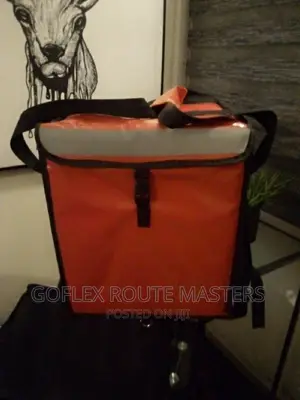 Food/Groceries Delivery Bags