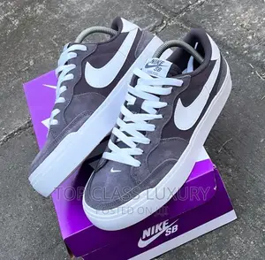 *Original Nike Sb Pogo PLUS Zoom Grey/White Men Women