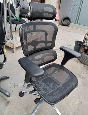 Office Chair {Orthopedic}