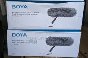 Boya Windshield by- Ws1000