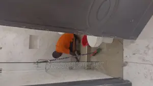 Professional Cleaning Service