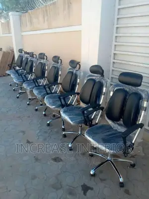Executive Director Imported Office Chair With Lumber Support