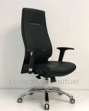 Executive Ergonomic Chair