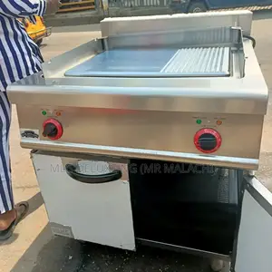 Standing (Rough and Smooth Style) Griddle/Grill With Cabinet