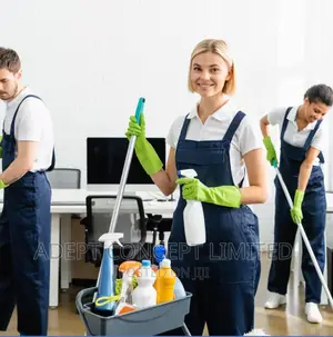 Premium Cleaning and Fumigation Services